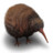 Kiwi Flightless Bird Icon